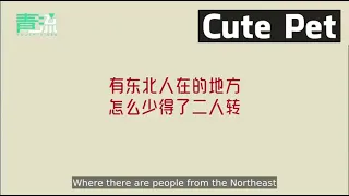 When the Northeastern dialect is mixed into Wuhan, he always said that it is Mandarin ...