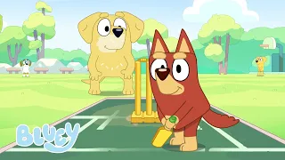 Cricket | Serie 3 | Bluey Español Canal Oficial