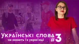 Чи знають українці справжні українські слова? Частина 3 / ZNOUA