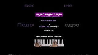 💃🦝 Педро-Педро-Педро НА РУССКОМ #караоке #пианино (перевод Даниэла Устинова)