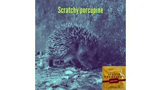 Liquid Wednesday-Scratchy porcupine (Official Audio)