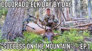 2020 COLORADO PUBLIC LAND ELK SERIES | First Elk | "Success On The Mountain" Frontal Shot DAY 1