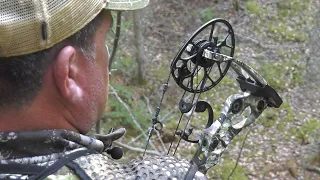 Bow Hunting Manitoba Black Bear