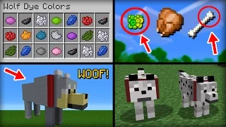 ✔ Minecraft: 20 Things You Didn't Know About the Wolf