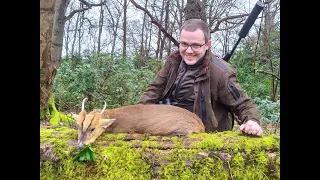 Muntjac hunting - England  february 2020