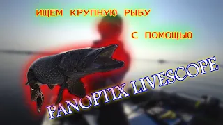 Поиск рыбы с помощью Panoptix LiveScope. Трофейная рыбалка в Финляндии