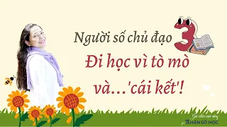 Người có số chủ đạo 3: Đi học vì tò mò và.. 'cái kết'! | Góc nhìn cuộc sống qua Nhân số học