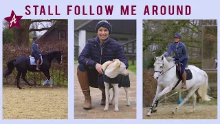 Reiten, Pflegen, Kuscheln I FMA aus dem Stall I Mein Leben mit den Pferden I