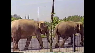 May 5th 1989 - American Circus - Köln - Aufbau