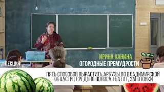 Арбузы в средней полосе От семечка до урожая - Лекция / Ирина Ханина