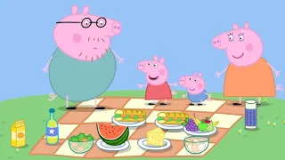 Świnka Peppa | Piknik | Bajki Po Polsku | Peppa po Polsku