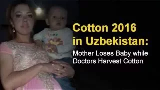 Cotton 2016 in Uzbekistan: Mother Loses Baby while Doctors Harvest Cotton