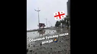 Нечего нового, обычный бульвар после дождя... Батуми, Грузия 2022 Georgia Batumi