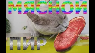 #57 Мясной челлендж - какое мясо выберет кошка (#британские #кошки #happy #cats #Сара #Соня)