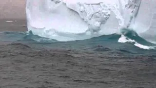 Penguins and Iceberg