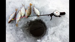 Зимняя рыбалка на окуня с подводной камерой.