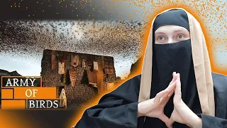 Revert Muslim REACTS to When Birds Defend KAABA | Story of Ababil Birds & The Elephant