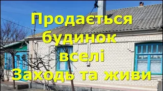 БУДИНОК ПРОДАМ В СЕЛІ "ГОРДІЇВКА", ЗАХОДЬ І ЖИВИ / ОГЛЯД / Вінницькій обл. Гайсинський рн