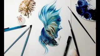 Speed drawing - BETTA FISH 【Aquarela /Watercolor Speedpaint】