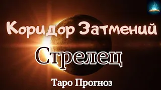 Стрелец. Коридор Затмений с 25 Марта по 8 Апреля 2024 Таро Прогноз