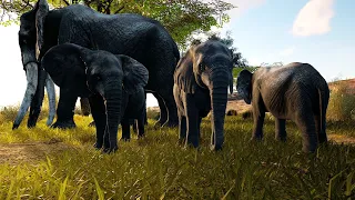 Road to Elder - Elephant - Animalia Survival