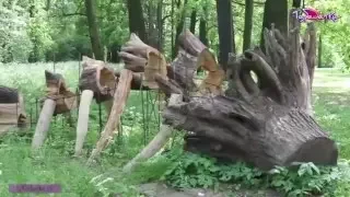 Лэнд арт в Ботаническом саду / Land art in the Botanica