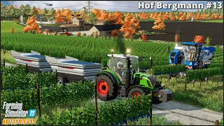 #FarmingSimulator22🔸Finishing Harvesting Grapes. Total Harvest: 138 Tons🔸#HofBergmann Ep.13🔸#4K