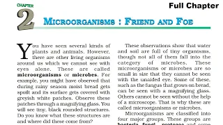 Microorganisms: Friend and Foe | Class 8 Science Chapter 2 | Full Chapter