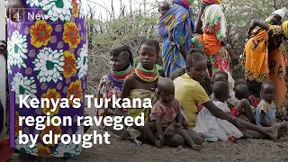 Drought wipes out livestock and causes hunger crisis in Kenya