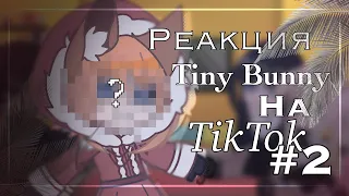 2х скорость! // Реакция Tiny Bunny на TikTok // 2/? // by zqxkaney