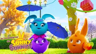 distinto cavalheiro | As Aventuras de Sunny Bunnies | Desenhos Animados Infantis