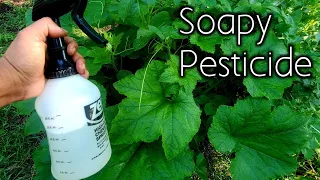 Beat Aphids & Mites By Making Your Own Wetting Agent JWA Spray- JADAM JWA Pt. 2