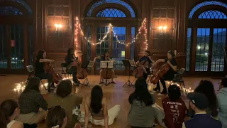Talking to the Moon by Bruno Mars (cello cover) - Williams College Cello Shots