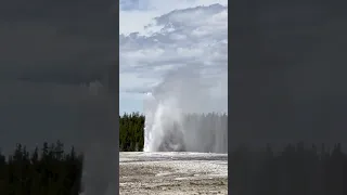 Old Faithful"s Eruption at Yellowstone National Park || #usa #shorts #viral #shortsvideo #youtube