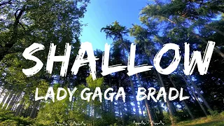 Play List ||  Lady Gaga, Bradley Cooper - Shallow (Lyrics)  || Massey Music