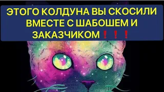 🔥ЭТОГО КОЛДУНА ВЫ СКОСИЛИ ВМЕСТЕ С ШАБОШЕМ И ЗАКАЗЧИКОМ❗️❗️❗️🔥