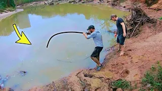 We THOUGHT it was a FISH!! (DANGEROUS)