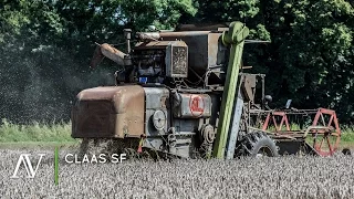 Claas SF - Weizendrusch · wheat harvest
