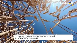 Угроза продовольственного кризиса. Последствия