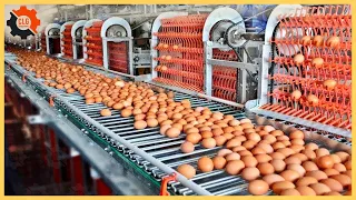 Food Industry Machines That Are At Another Level ▶3
