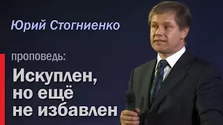 Проповеди о грехе: "Искуплен, но еще не избавлен". Проповедник Юрий Стогниенко