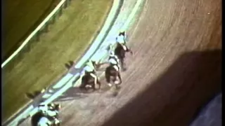 Secretariat wins the 1973 Preakness Stakes