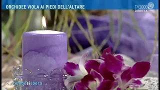 Orchidee viola ai piedi dell'altare