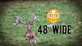 Widest Buck on Earth | World Record ?