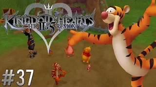 Ⓜ Kingdom Hearts HD 2.5 Final Mix ▸ 100% Critical Walkthrough #37: 100 Acre Wood III