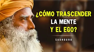 ¿Cómo Superar el Amor Propio y Alcanzar la Verdadera Felicidad? - Consejos de Sadhguru