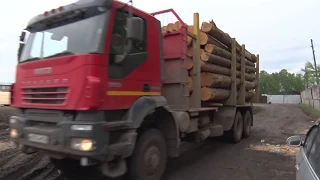 В Первомайском районе займутся утилизацией древесных отходов