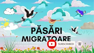 Pasarile migratoare - Sosesc pasarile calatoare! Activitate educativa cu sunete