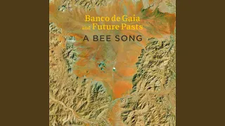 A Bee Song