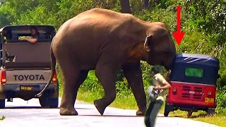 An unbelievable moment.A wild elephant attacks a three-wheeler.